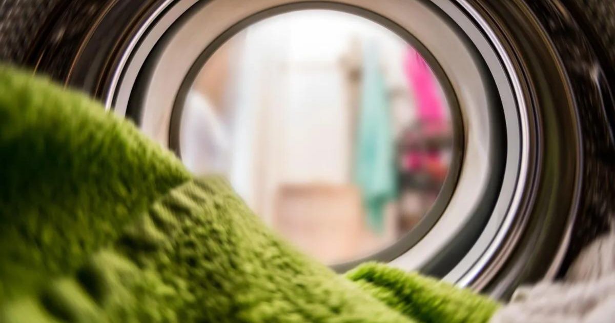 Comment éliminer les poils d'animaux de votre lave-linge et de votre sèche-linge