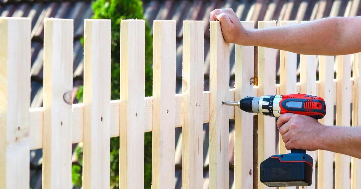 Comment choisir le bon bois pour votre projet d'extérieur