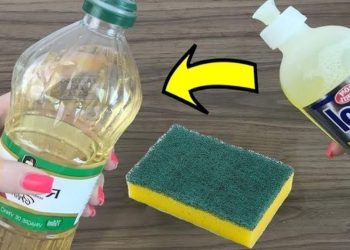 8 conseils pour nettoyer sa salle de bain avec du vinaigre blanc