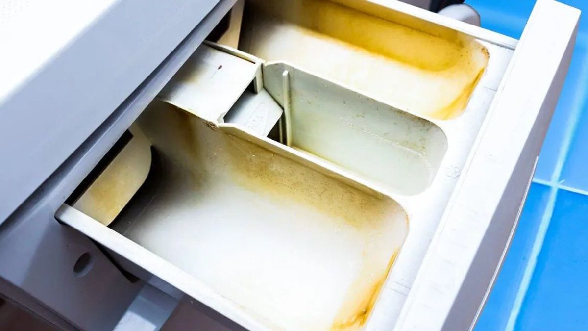 5 façons rapides de nettoyer votre machine à laver. La moisissure et les mauvaises odeurs disparaitront