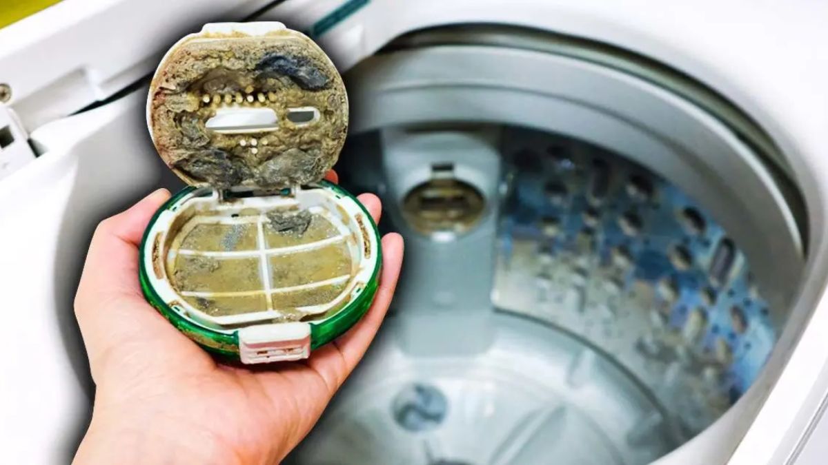 Crasse, odeur, moisissure... Comment nettoyer votre machine à laver ?