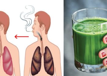 Une boisson naturelle pour nettoyer les poumons des fumeurs