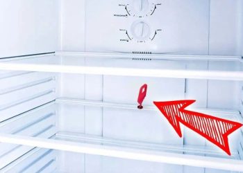 À quoi sert le trou caché dans le réfrigérateur ? Il est très utile mais personne ne sait l’utiliser