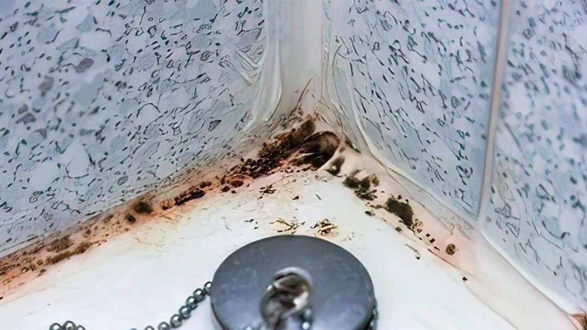 Comment enlever la moisissure noire de la salle de bain ?
