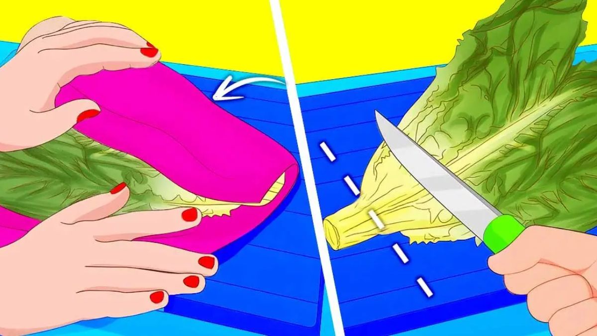 Comment on peut garder la salade fraîche et croquante pendant 3 semaines