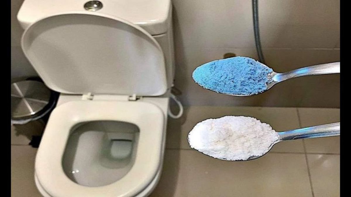 Découvrez comment nettoyer les toilettes en profondeur de manière naturelle, sans utiliser de produits toxiques