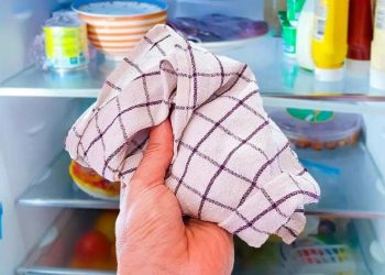 Mettez un torchon dans le frigo : une astuce géniale pour économiser de l'argent