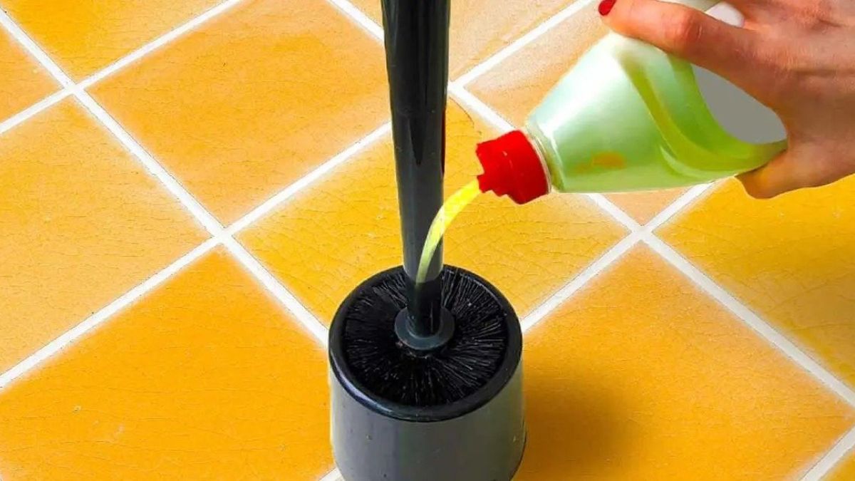 Mettre du liquide vaisselle sur la brosse des toilettes : C'est l'astuce préférée des ménagères expérimentées