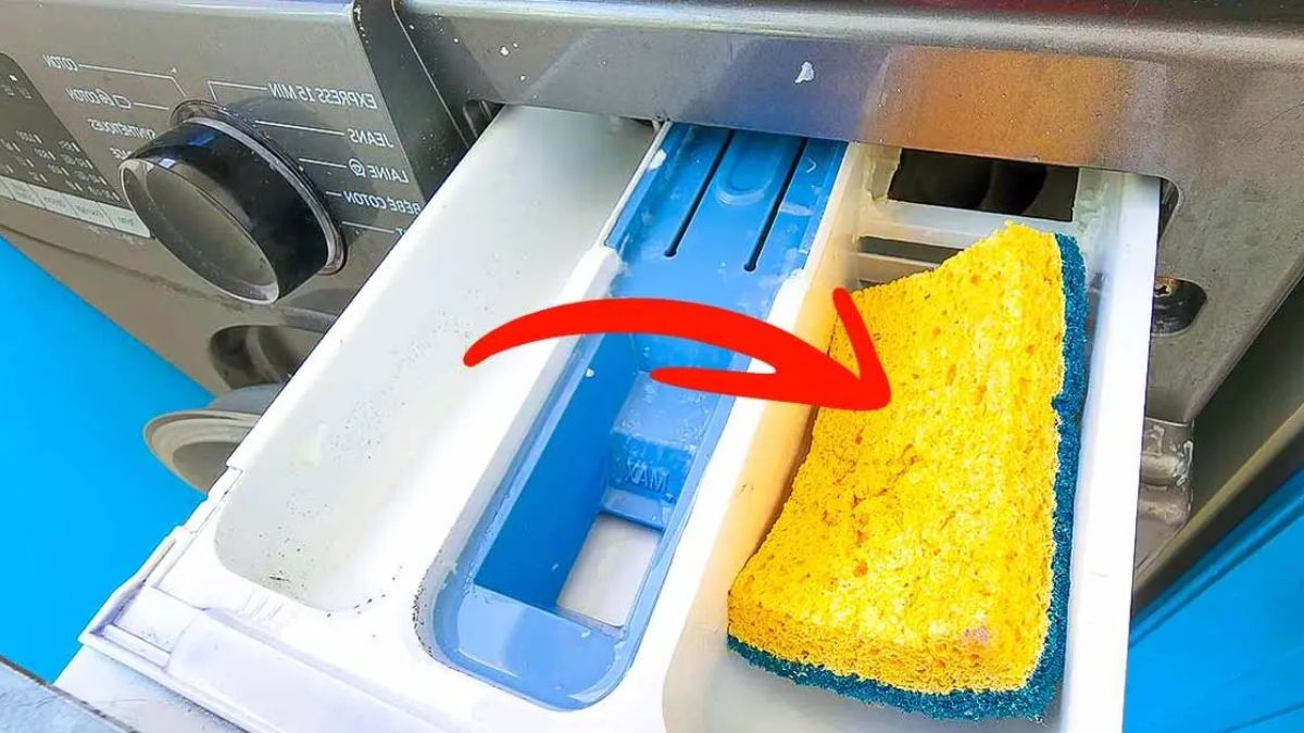 Placez une éponge de rinçage dans le compartiment de la machine à laver : c'est la solution efficace à un problème courant