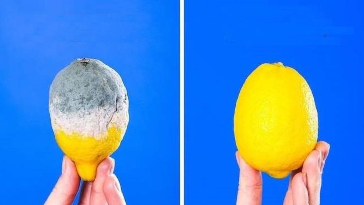 Comment conserver les citrons plus longtemps pour éviter qu'ils ne pourrissent ? 4 astuces simples