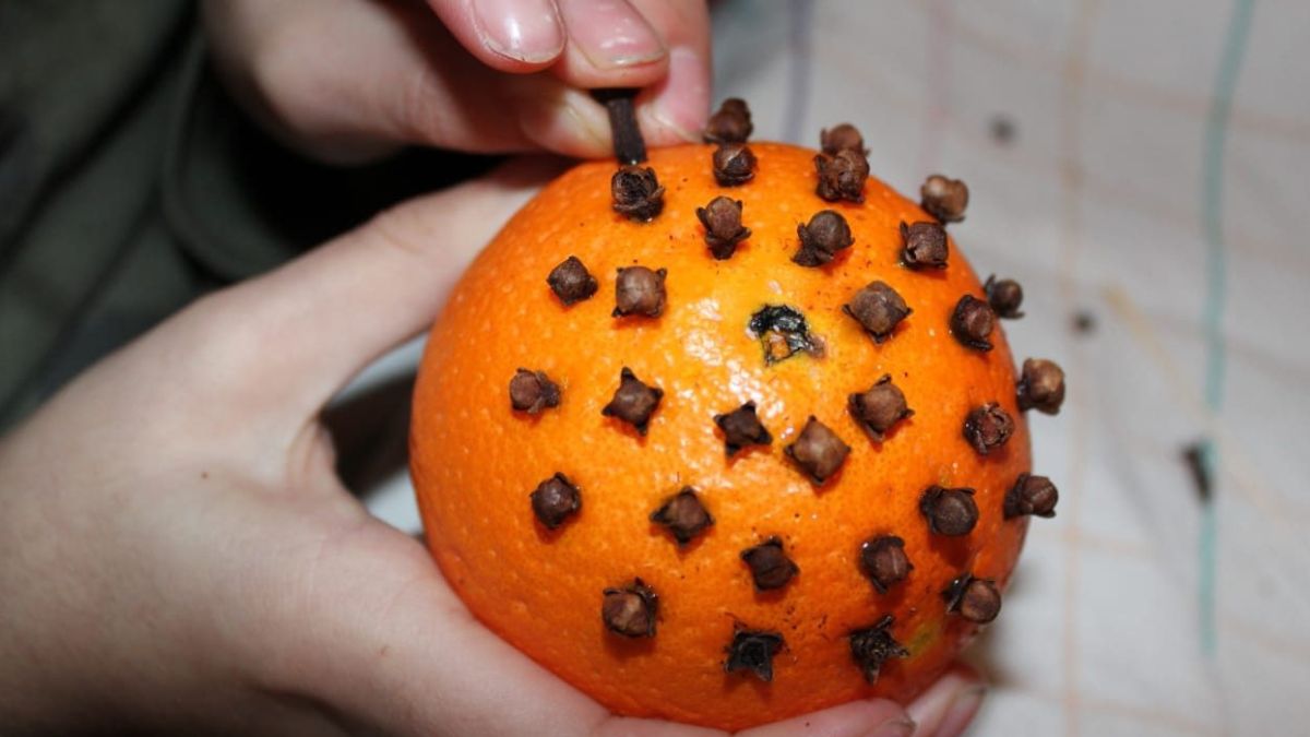 Mettez des clous de girofle dans une orange : résolvez un problème ménager général