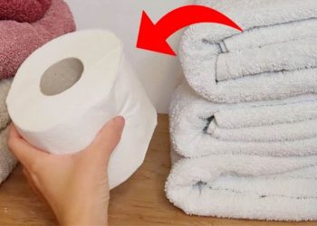 Mettez du papier toilette dans votre placard, vous serez surpris du résultat 