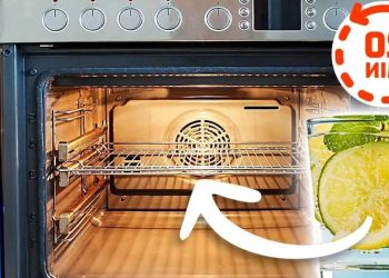 Mettez un bol de citron au four : la solution géniale à un problème courant