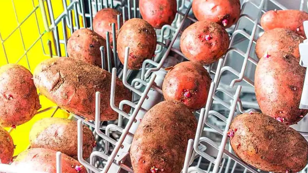 Mettre des pommes de terre dans le lave-vaisselle : L'astuce géniale qui facilite la vie