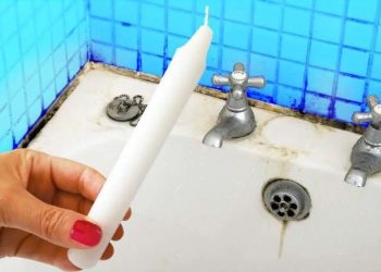 Moisissure de salle de bain : Comment l'enlever et la traiter