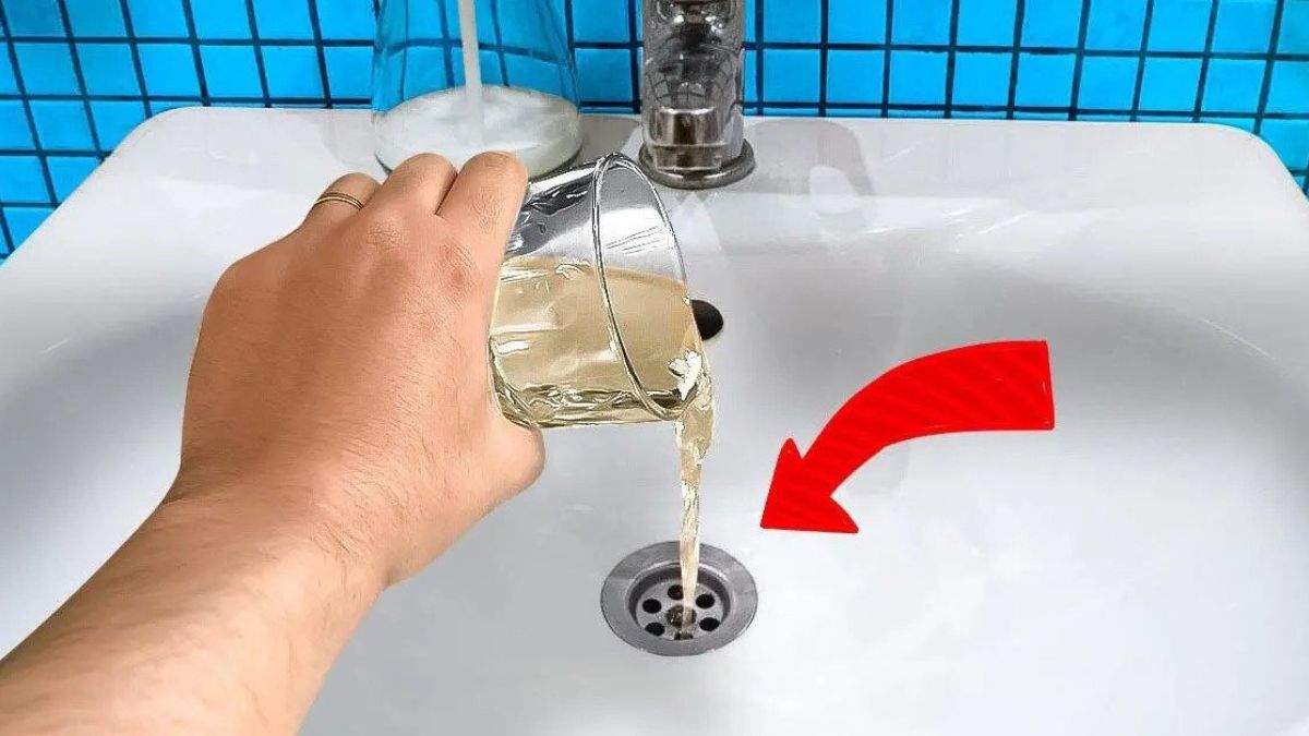 Pourquoi est-il important de verser du vinaigre dans l'évier une fois par mois ?