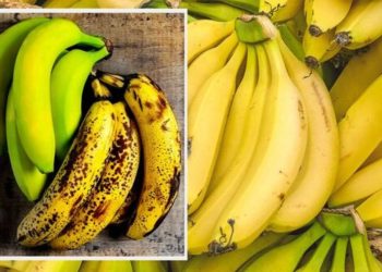 3 astuces de conservation pour avoir des bananes jaunes et fermes – elles ne bruniront plus