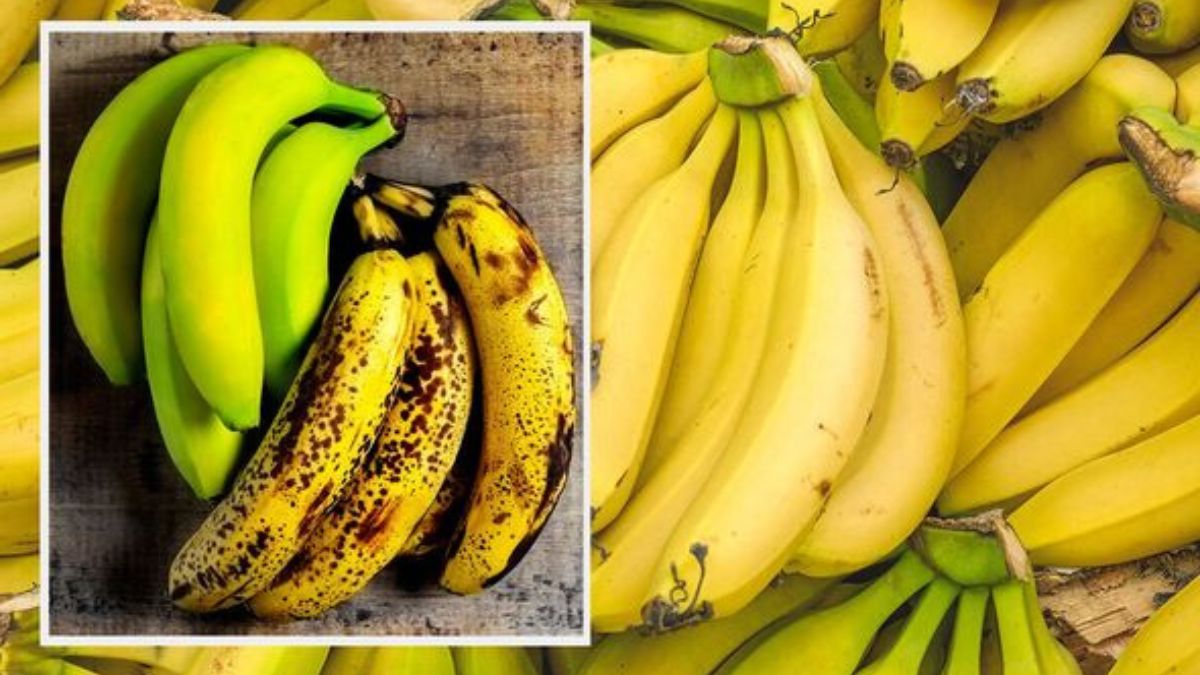 3 astuces de conservation pour avoir des bananes jaunes et fermes – elles ne bruniront plus