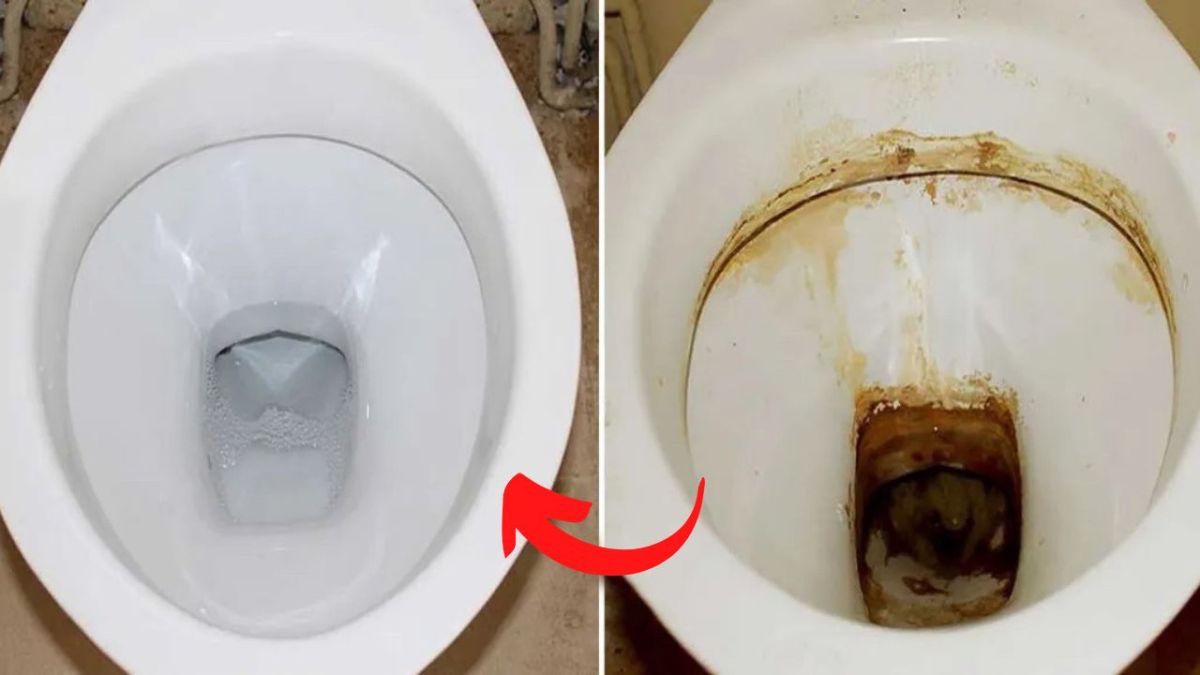 Enlever le calcaire dans les toilettes : astuces et solutions
