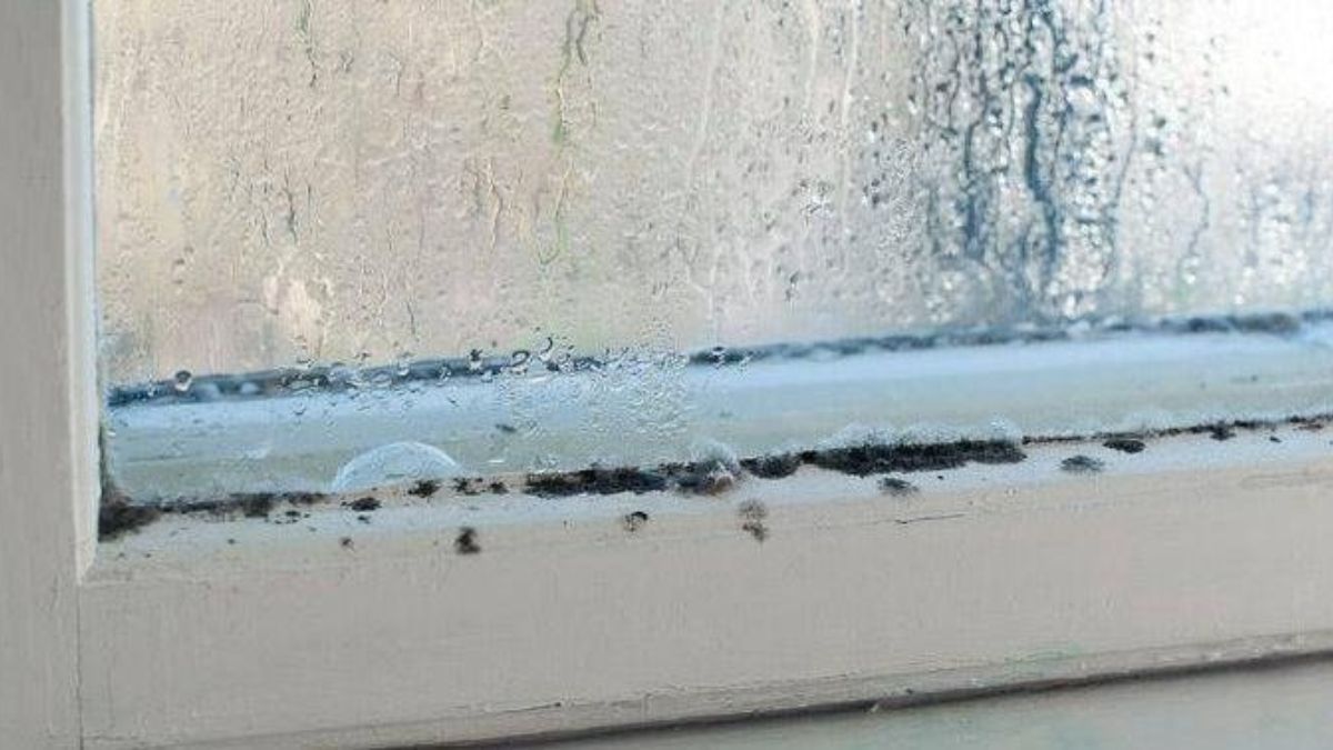 Fenêtres, la fonction secrète contre les moisissures dans la maison