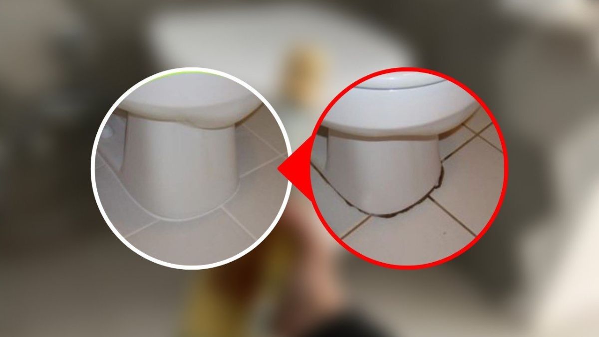 Moisissure noire des toilettes : une seule poignée pour s'en débarrasser