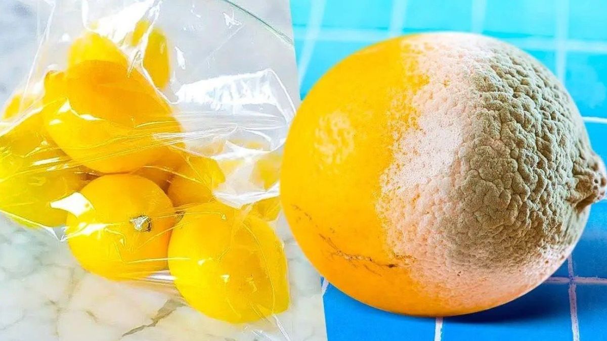 Voici le secret pour conserver ses citrons frais plus de 3 mois