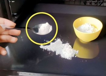 Comment nettoyer le four en quelques minutes avec l'astuce du sel?