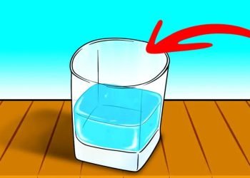 Comment se débarrasser des mouches avec l’astuce du verre d’eau ?
