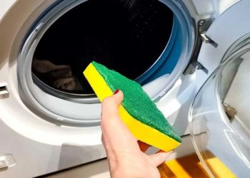 L'astuce de l'éponge : une méthode inconnue pour garder la machine à laver comme neuve