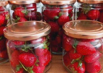 L'astuce infaillible pour conserver ses fraises plus longtemps
