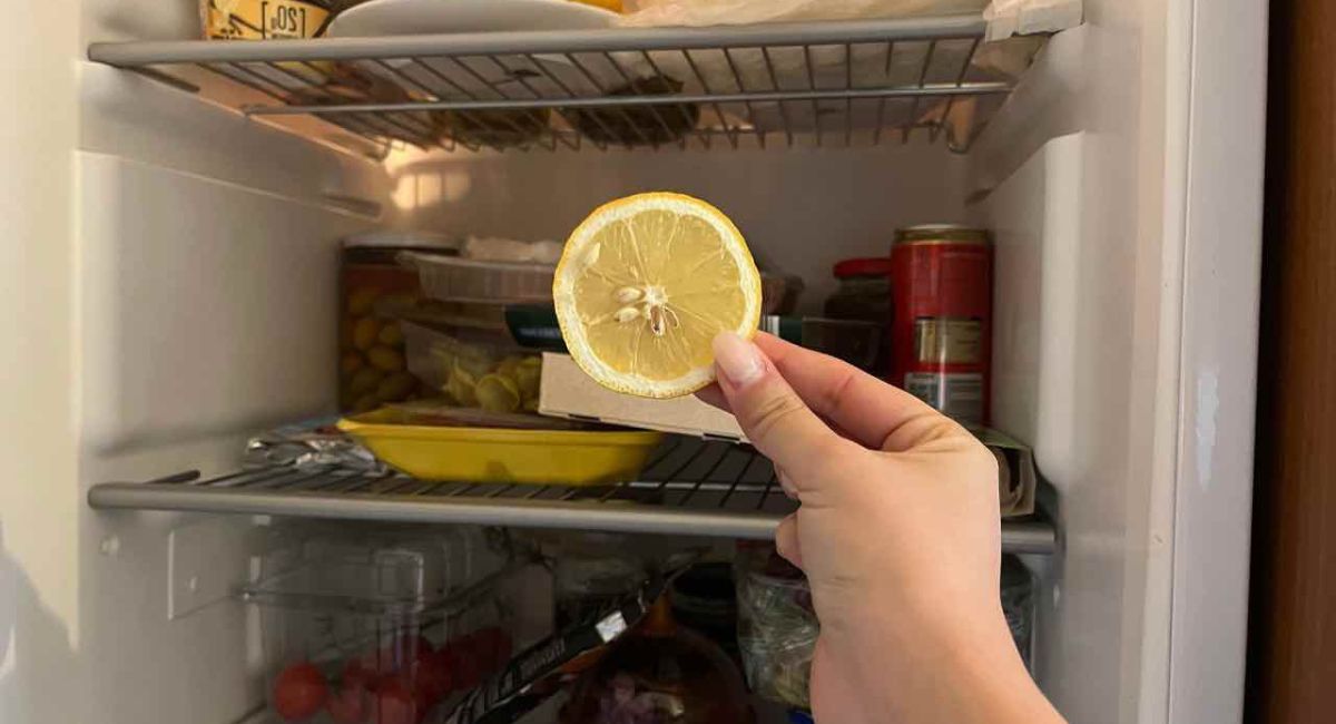 Mettez une tranche de citron au frigo : cela suffit à résoudre un grand problème