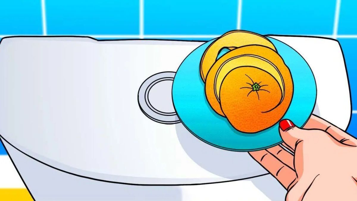 Pourquoi faut-il laisser des pelures d’orange dans la salle de bain toute la nuit ?