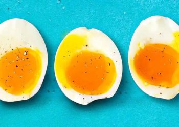 Cuire un œuf dur, mollet ou à la coque et temps de cuisson