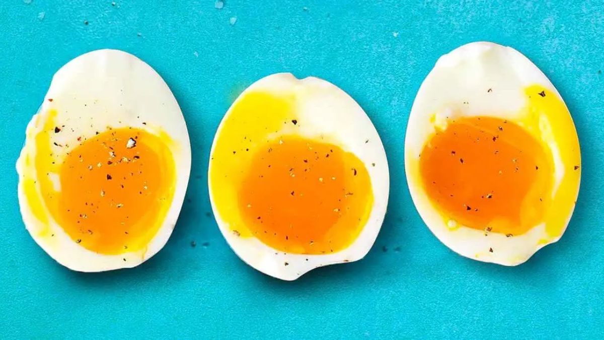 Cuire un œuf dur, mollet ou à la coque et temps de cuisson