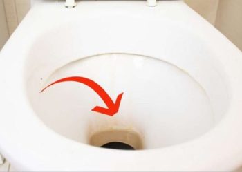 L'astuce maligne pour retirer les taches d'urine des cuvettes de toilettes