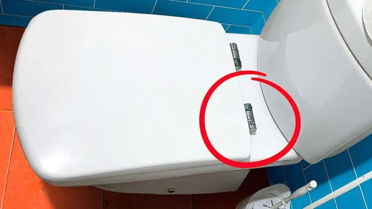 Le bouton sous le siège des toilettes est le seul moyen de faire un nettoyage parfait des WC. Comment l’actionner ?